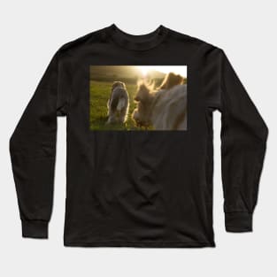 Chasing the sunset Spinoni Long Sleeve T-Shirt